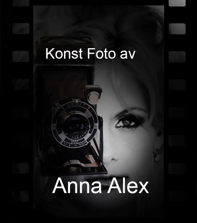Anna Alex konst
